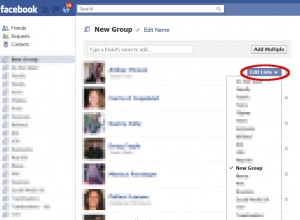 Screenshot of the "edit friends list" button in Facebook