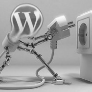 When to Use a WordPress Plugin and When Not To