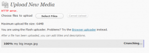 Screenshot of media library upload showing HTTP Error