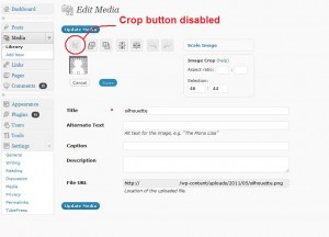 screenshot: cannot crop smaller than thumbnail in WordPress media library